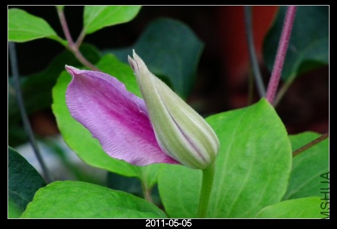 DSCF9830.JPG