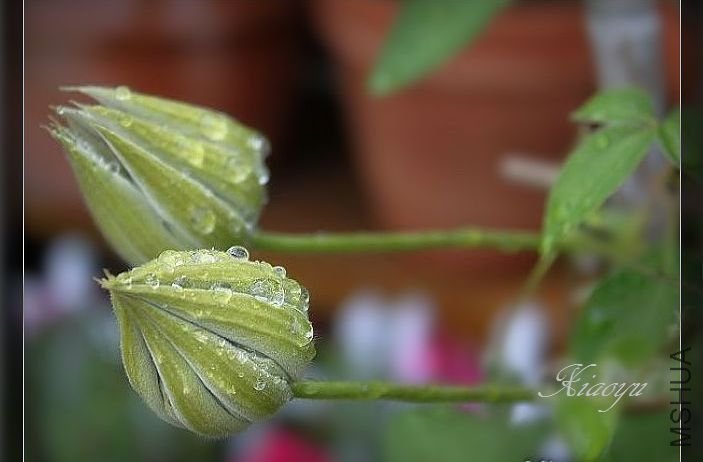 ~~СԼ�û���~~