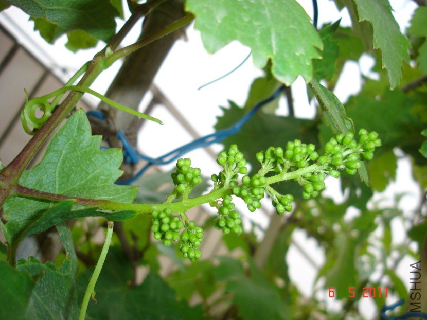 ����201100506 3.JPG