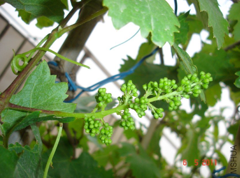 ����201100506 2.JPG