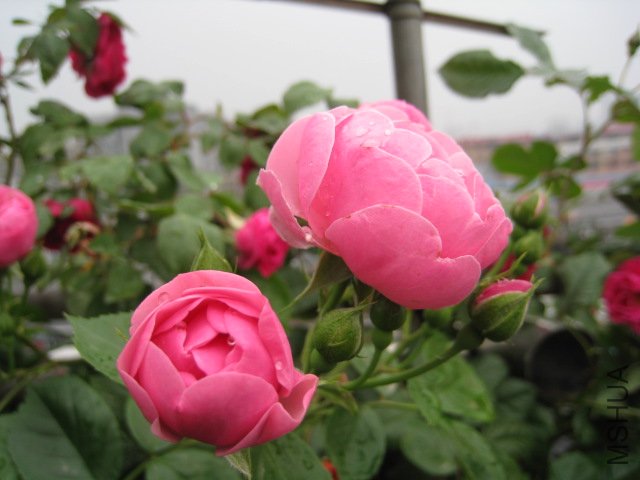 IMG_0692.JPG