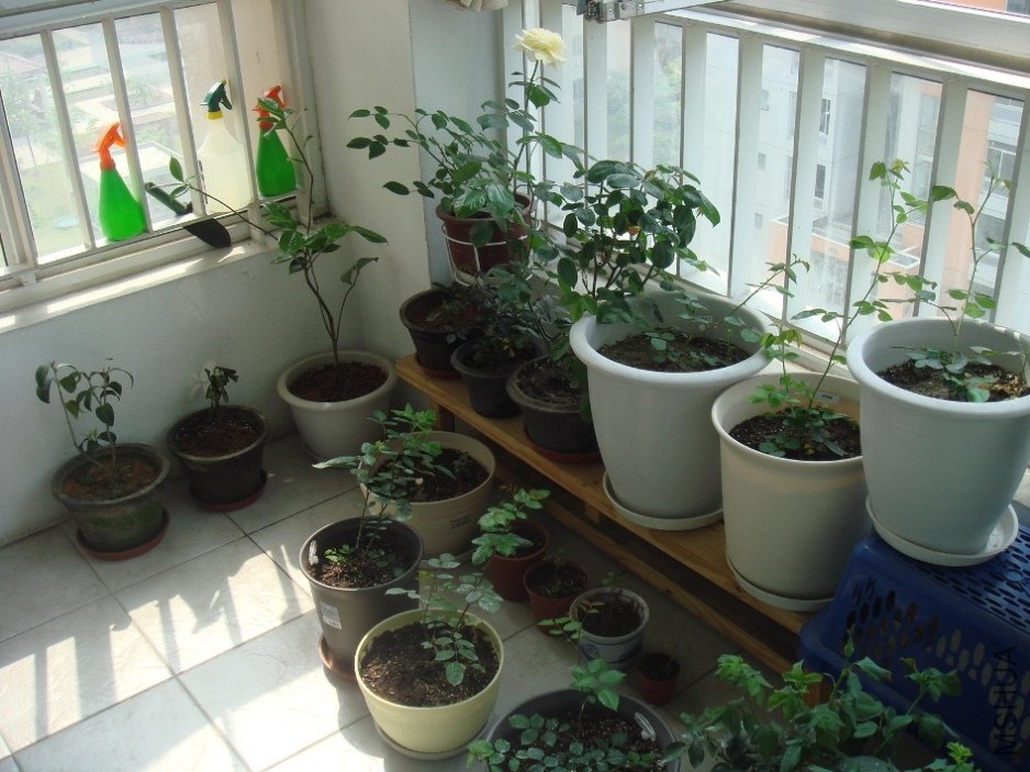 DSC04683.JPG