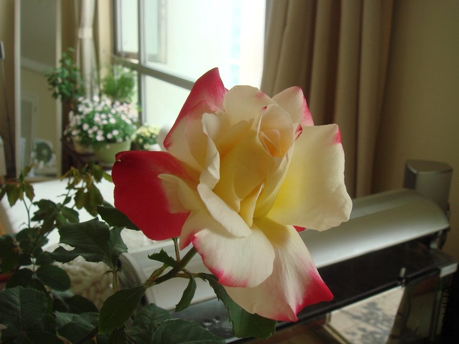DSC04689.JPG