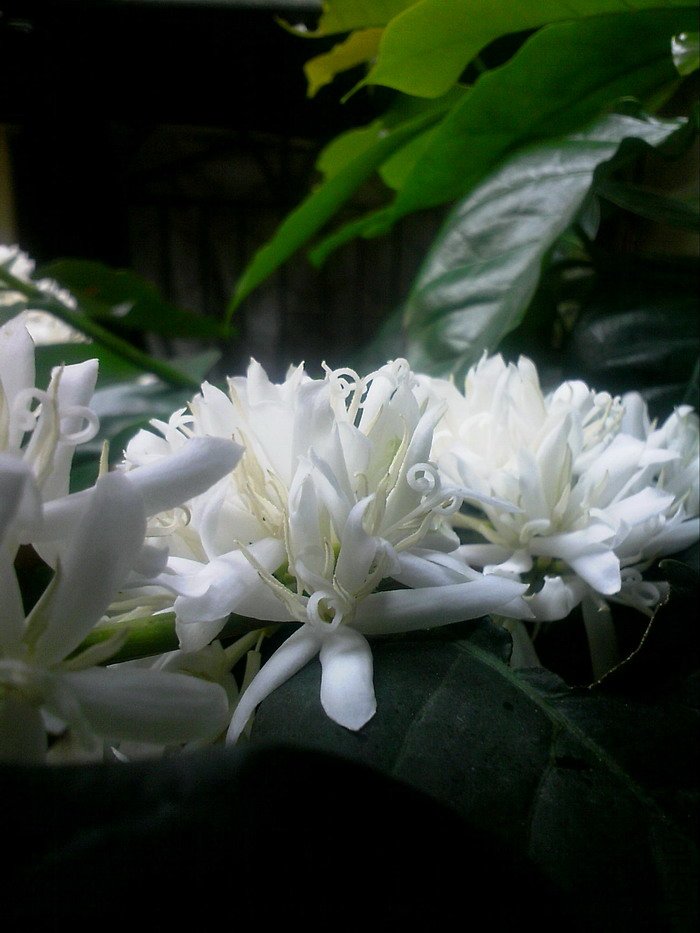 110507A000.jpg