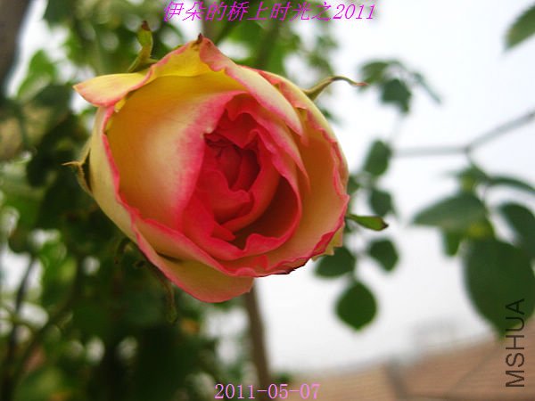 nEO_IMG_��Ƭ 042.jpg