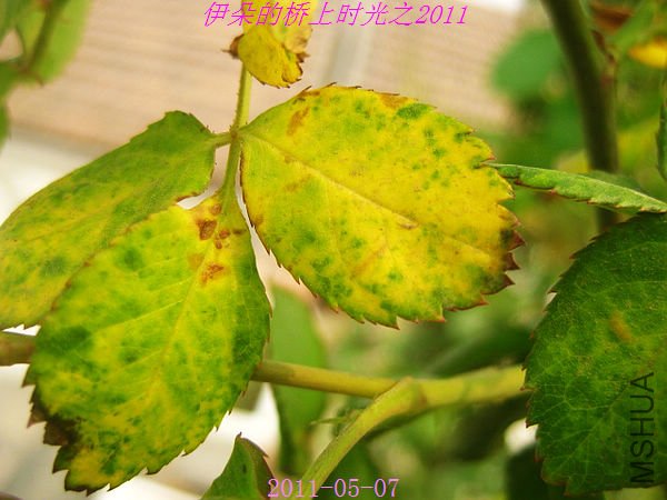 nEO_IMG_��Ƭ 035.jpg