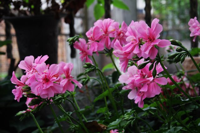 2011.05.06.�¼�����ʯ�������˸� 091+1.jpg