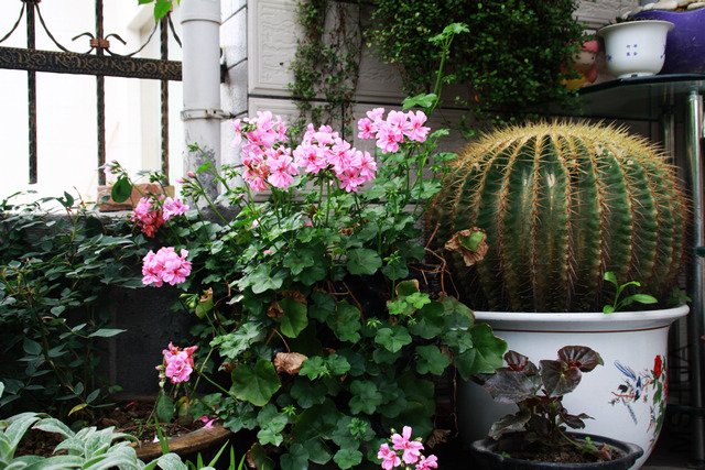 2011.05.06.�¼�����ʯ�������˸� 080.jpg