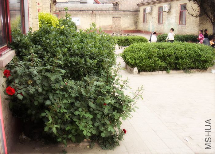 DSC01314.JPG