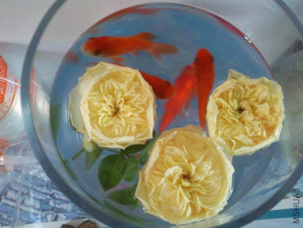 ������С ��Ƭ0907.jpg