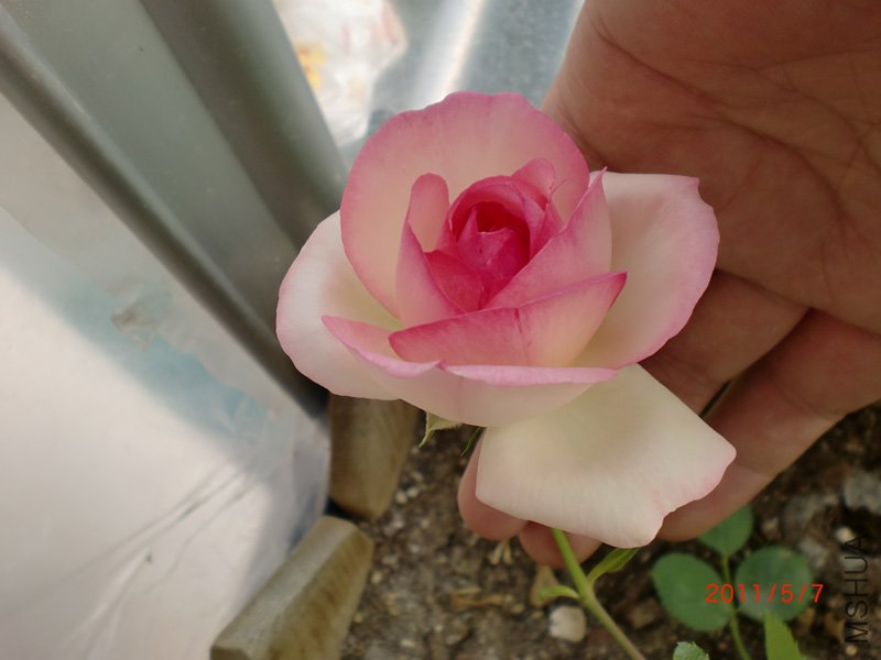 CIMG0668.JPG