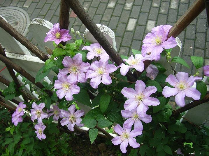 2011.5.7 029.JPG