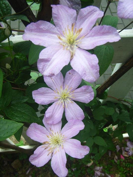 2011.5.7 055.JPG