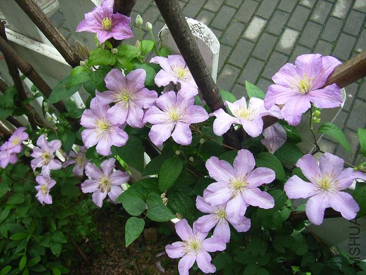 2011.5.7 030.JPG