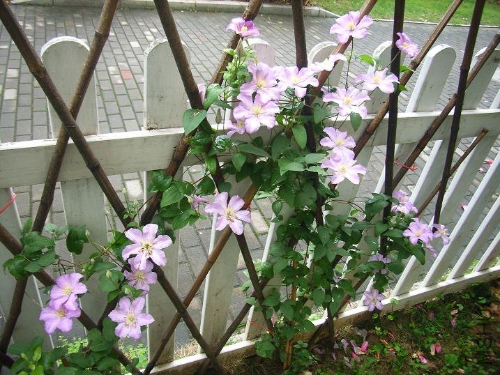 2011.5.7 035.JPG