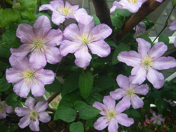 2011.5.7 056.JPG