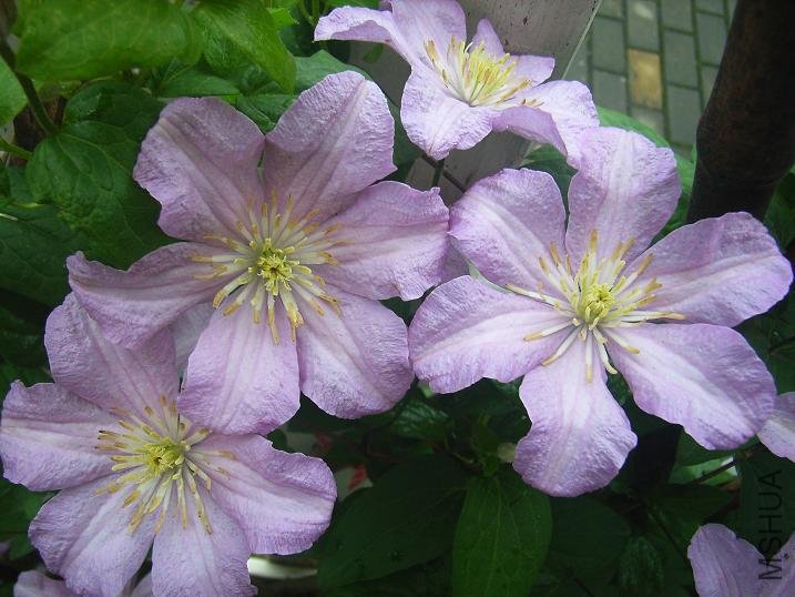 2011.5.7 057.JPG