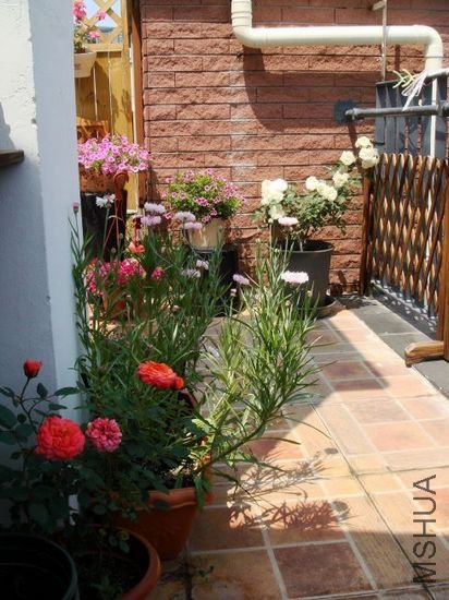 nEO_IMG_DSC09314.jpg