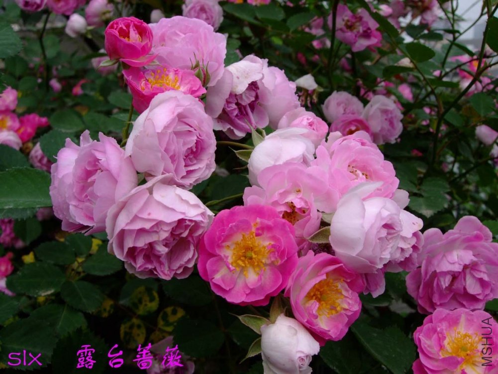 ¶̨Ǿޱ11-5-6f (2).jpg