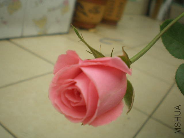 �����ȣ����Σ���ɫ����Ư������������ġ�