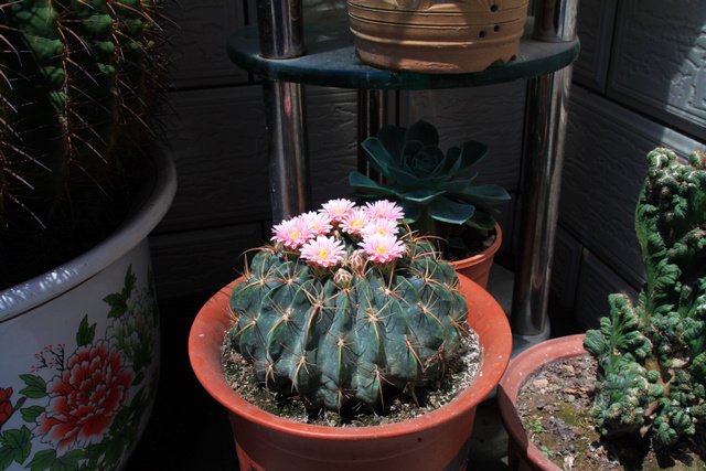 2011.05.08.�¼��������� 027.jpg