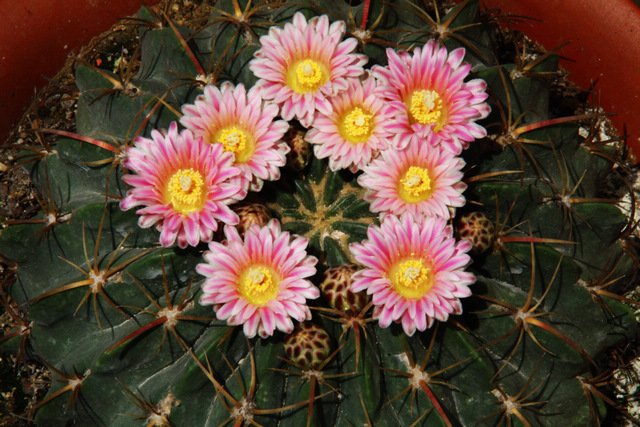 2011.05.08.�¼��������� 035.jpg