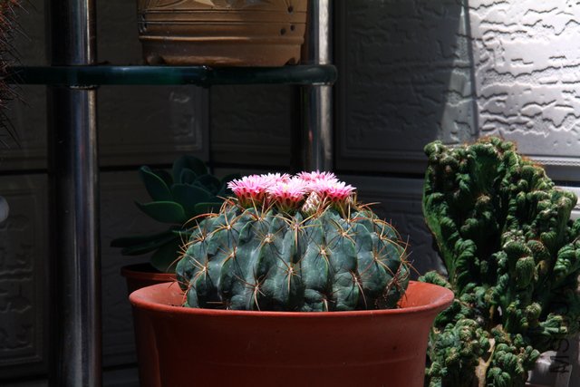 2011.05.08.�¼��������� 066.jpg