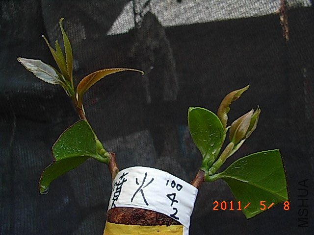 R0016537.JPG