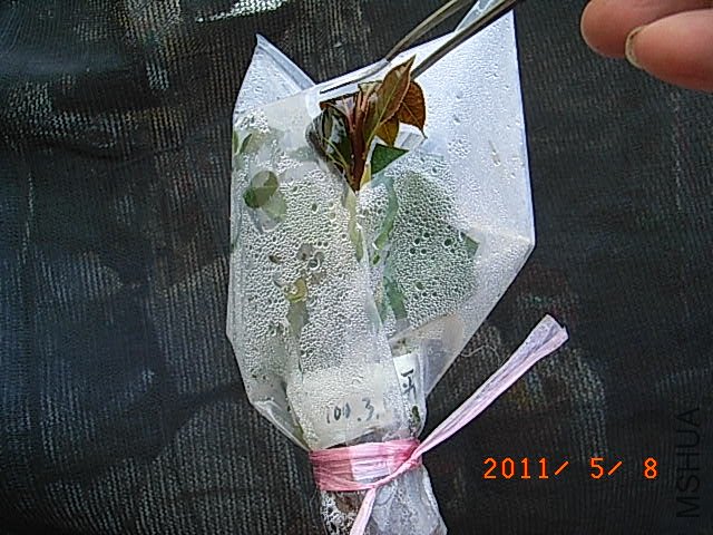 R0016522.JPG