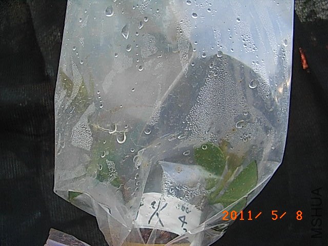 R0016538.JPG