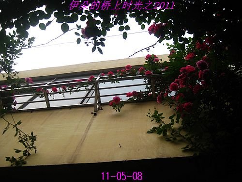 nEO_IMG_��Ƭ 031.jpg