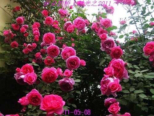 nEO_IMG_��Ƭ 059.jpg