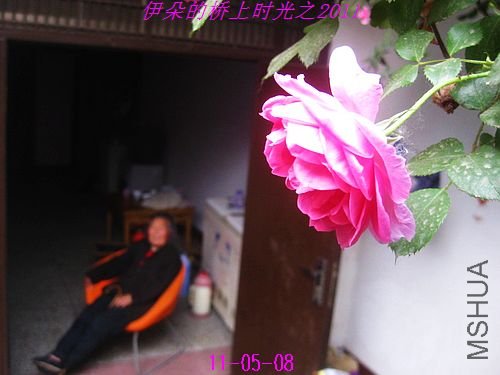 nEO_IMG_��Ƭ 056.jpg