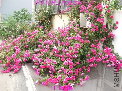 nEO_IMG_��Ƭ 067.jpg