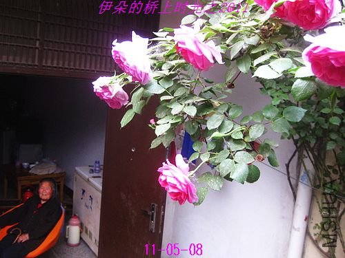 nEO_IMG_��Ƭ 055.jpg