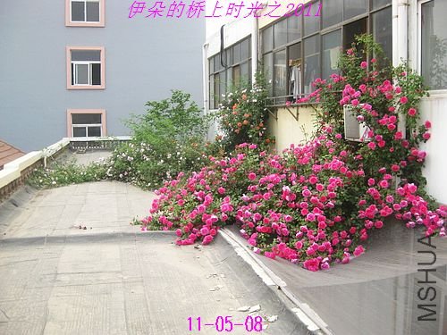 nEO_IMG_��Ƭ 066.jpg