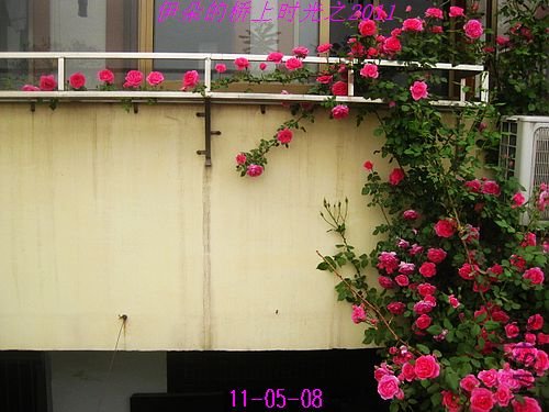 nEO_IMG_��Ƭ 072.jpg