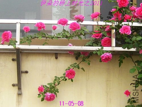 nEO_IMG_��Ƭ 080.jpg