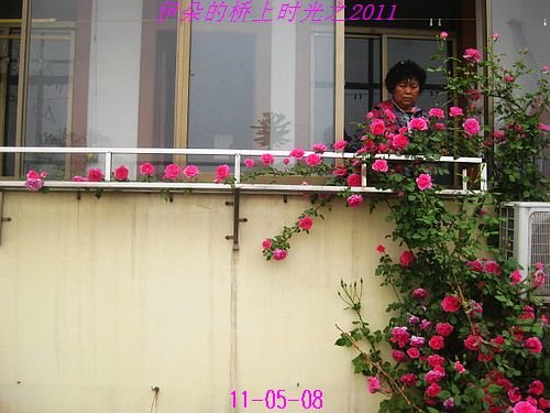 nEO_IMG_��Ƭ 082.jpg