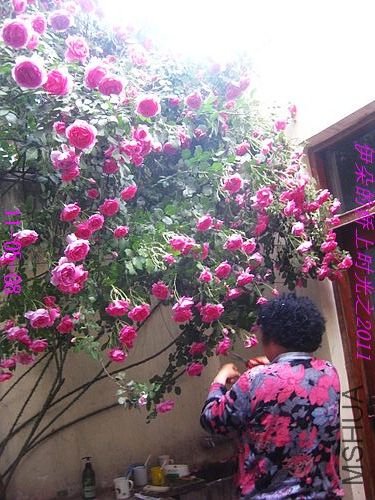 nEO_IMG_��Ƭ 108.jpg