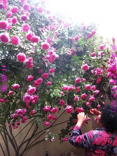 nEO_IMG_��Ƭ 107.jpg