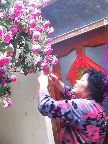 nEO_IMG_��Ƭ 109.jpg