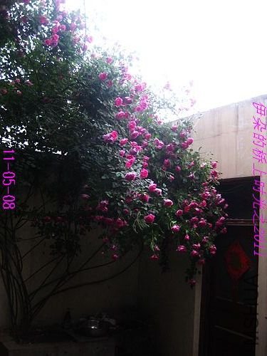 nEO_IMG_��Ƭ 119.jpg