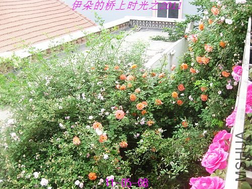 nEO_IMG_��Ƭ 046.jpg