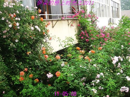 nEO_IMG_��Ƭ 073.jpg