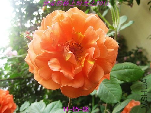 nEO_IMG_��Ƭ 053.jpg