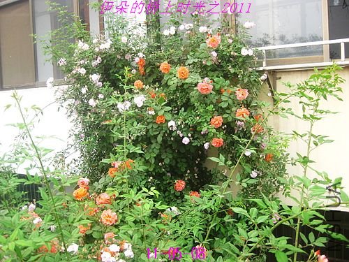 nEO_IMG_��Ƭ 087.jpg