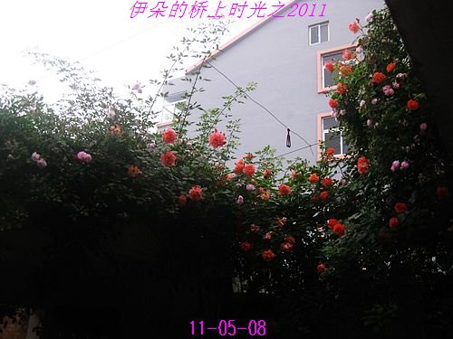 nEO_IMG_��Ƭ 126.jpg