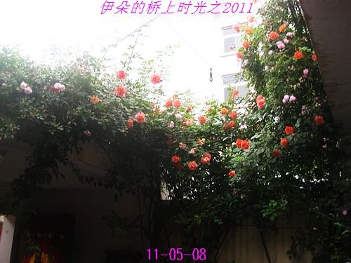 nEO_IMG_��Ƭ 120.jpg