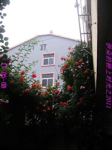 nEO_IMG_��Ƭ 122.jpg